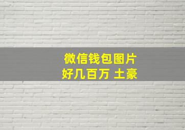 微信钱包图片好几百万 土豪